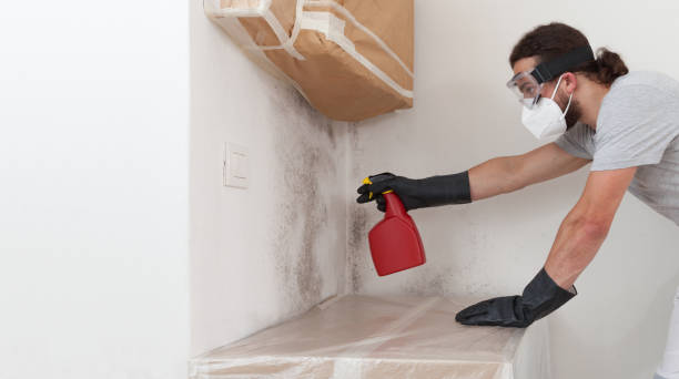 Professional Basement Mold Remediation technician working in Schooleys Mountain, NJ
