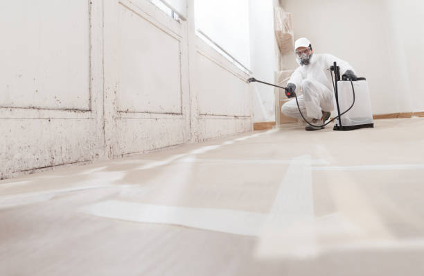24/7 Emergency Basement Mold Remediation experts in Schooleys Mountain, NJ